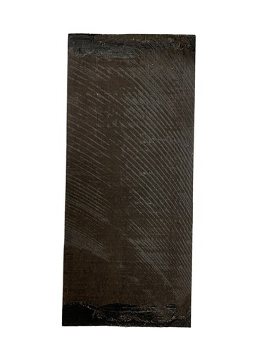Indian ebony guitar - indian,