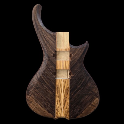 Alembic style custom guitar - style,